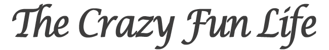 The Crazy Fun Life